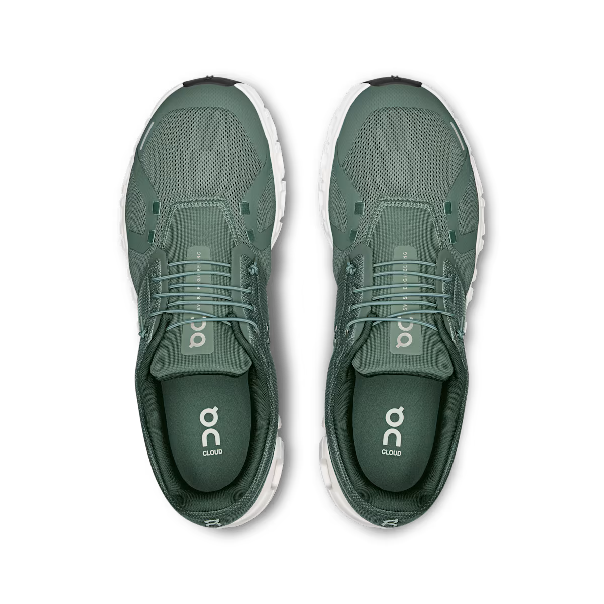 CloudVI - Olive Evergreen