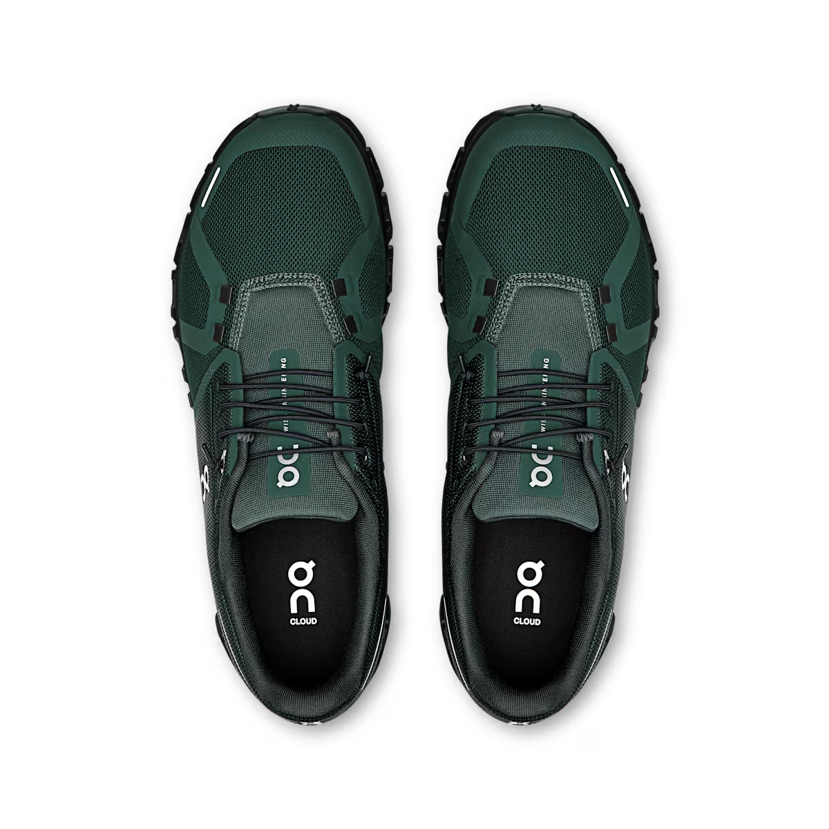 CloudVI - Evergreen Black